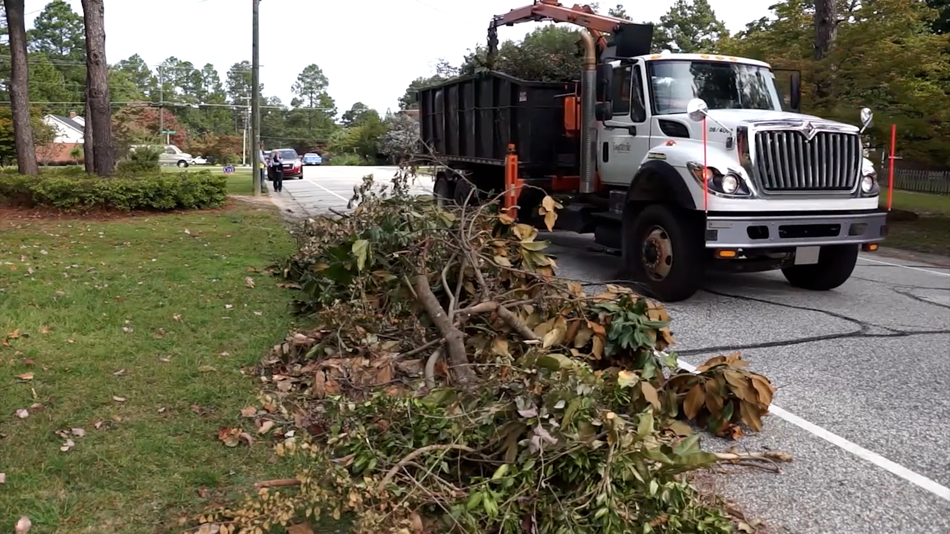 Photo of Loose limb truck